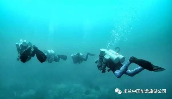流星蝴蝶剑
