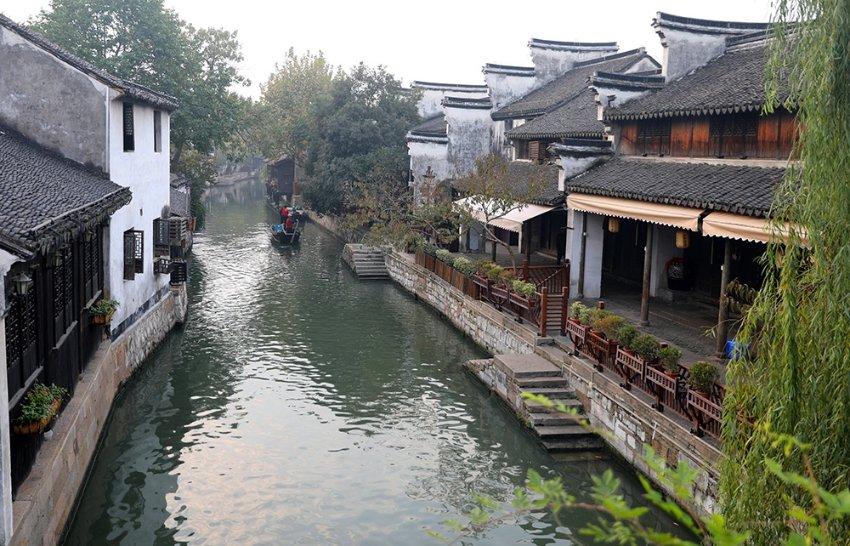 创造与魔法苁蓉花位置图游戏画面